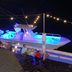 Waterproof Flexible Light Strip | Dual Color Blue + Cool White | IP68 Marine 12V Lighting