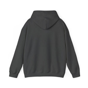 Back view of a classic fit charcoal gray cotton-polyester hoodie with a drawstring hood.