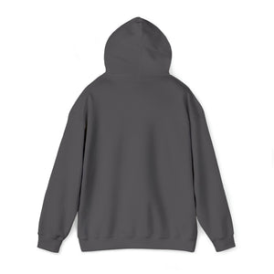 Back view of a plain charcoal gray heavy blend hooded sweatshirt with a classic fit.