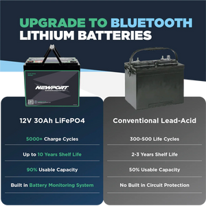 Newport 12V 30Ah Lithium LiFePO4 Battery