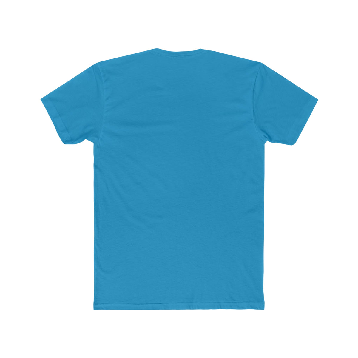 Back view of a plain light blue premium fit soft cotton t-shirt.