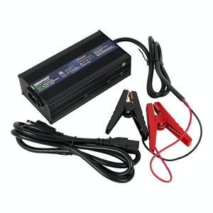 Newport  36V Battery Charger