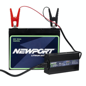 Newport  36V Battery Charger