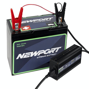 Newport 24V Battery Charger