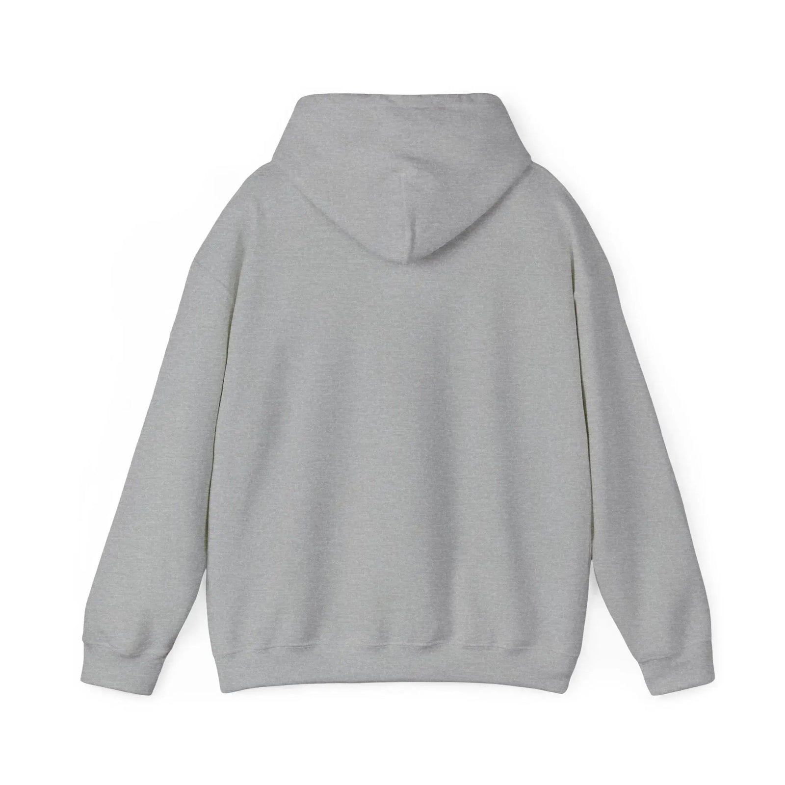 Light grey Ol' Jonny Hoodie with dark green boat graphic and American flag on the front.