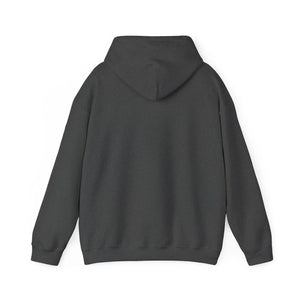 Back view of a classic fit charcoal gray cotton-polyester hoodie with a drawstring hood.