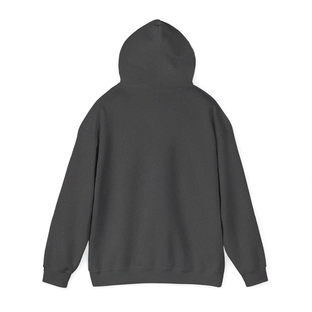 Back view of a dark gray, classic fit, cotton-polyester blend hoodie with a spacious hood.