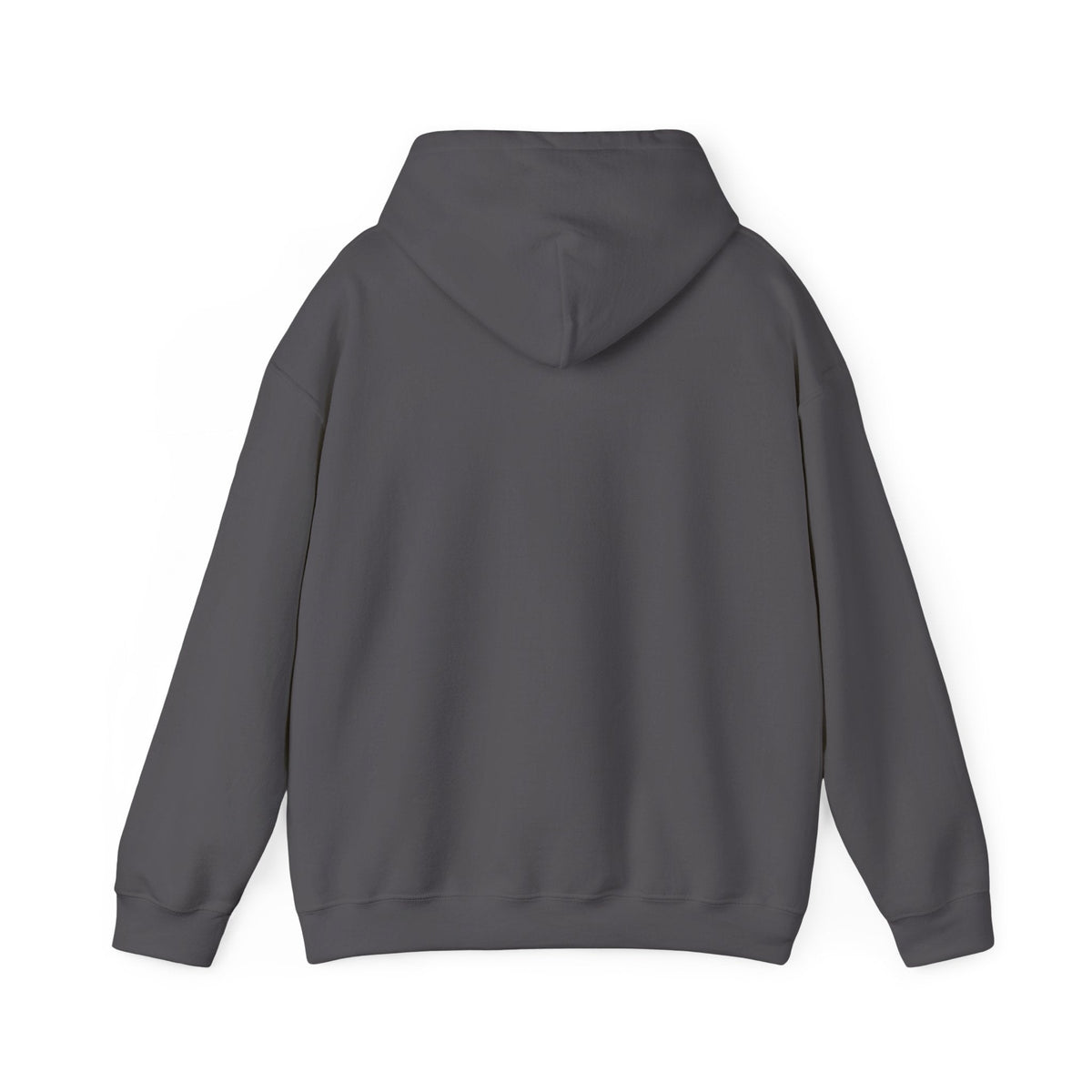 Dark gray cotton-polyester hoodie, classic fit, with a spacious kangaroo pocket and matching drawstring hood.
