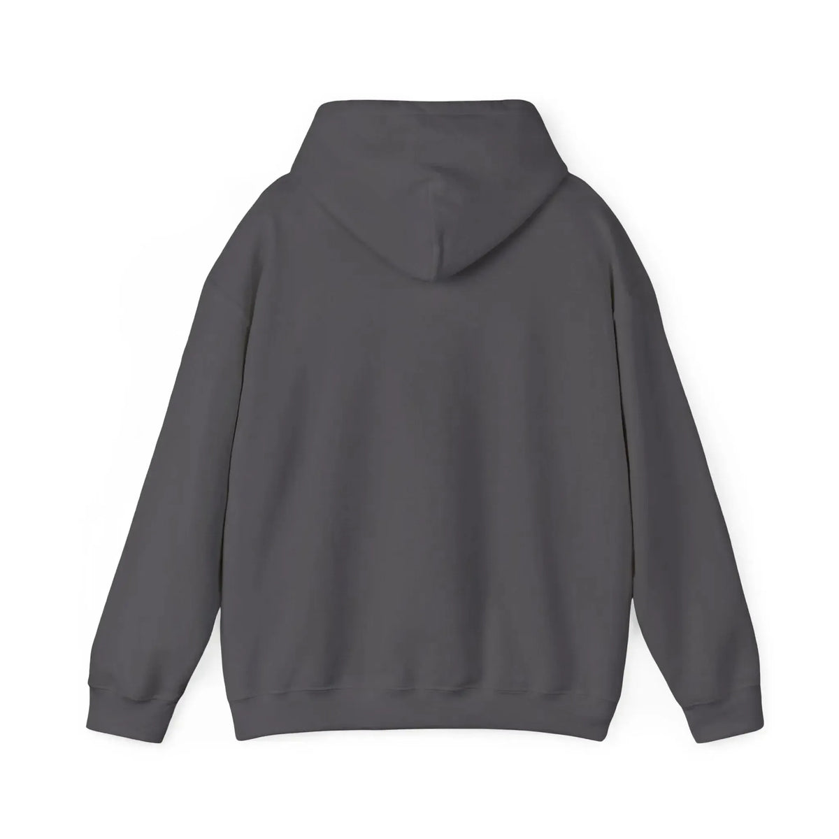 Dark gray cotton-polyester hoodie, classic fit, with a spacious kangaroo pocket and matching drawstring hood.