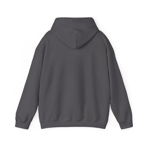 Dark gray cotton-polyester hoodie, classic fit, with a spacious kangaroo pocket and matching drawstring hood.