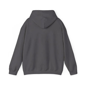 Dark gray cotton-polyester hoodie, classic fit, with a spacious kangaroo pocket and matching drawstring hood.