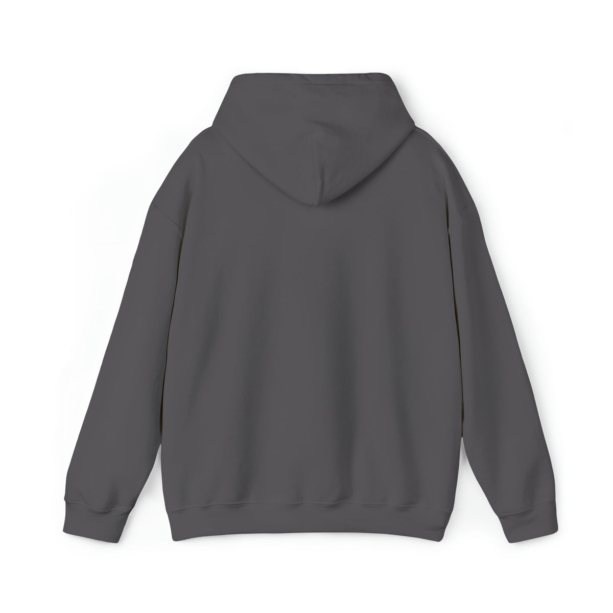Back of a dark gray heavy blend hooded sweatshirt with a classic fit and color-matched drawstring.