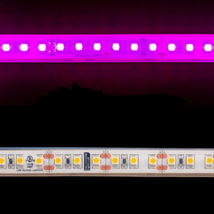 Waterproof Flexible Light Strip - IP68 - 12V Pink