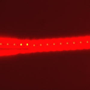 Waterproof Flexible Light Strip - IP68 - 12V Red