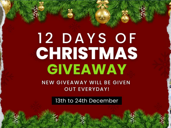 12 Days of Christmas Giveaway