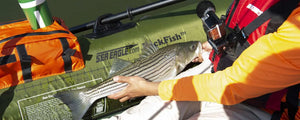 Angler holding a striped bass in a green Sea Eagle PackFish7™ inflatable fishing boat with orange gear.