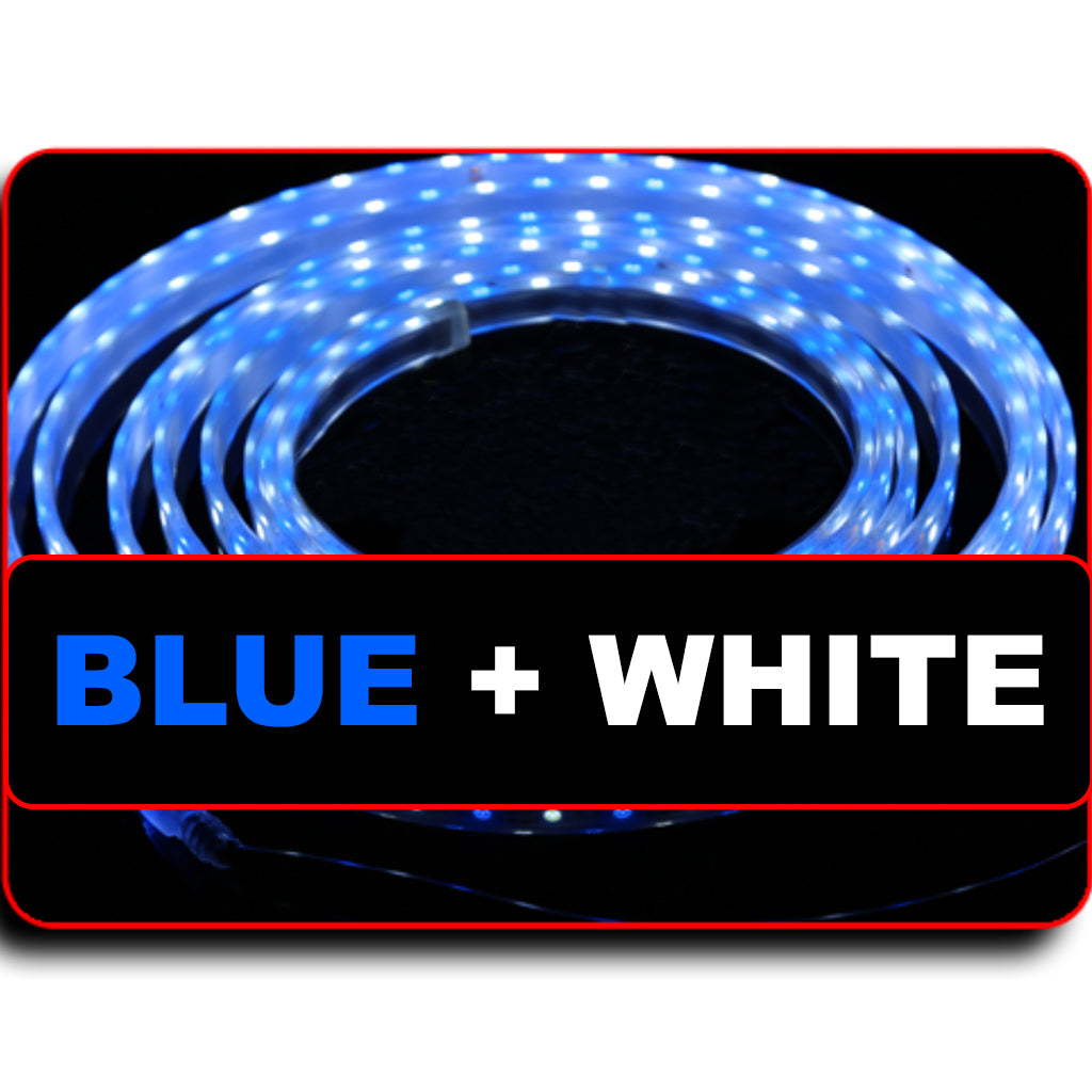 Waterproof Flexible Light Strip - IP68 - 12V Dual Color Blue + Cool White