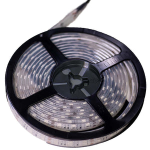 Waterproof Flexible Light Strip - IP68 - 12V Dual Color Blue + Cool White