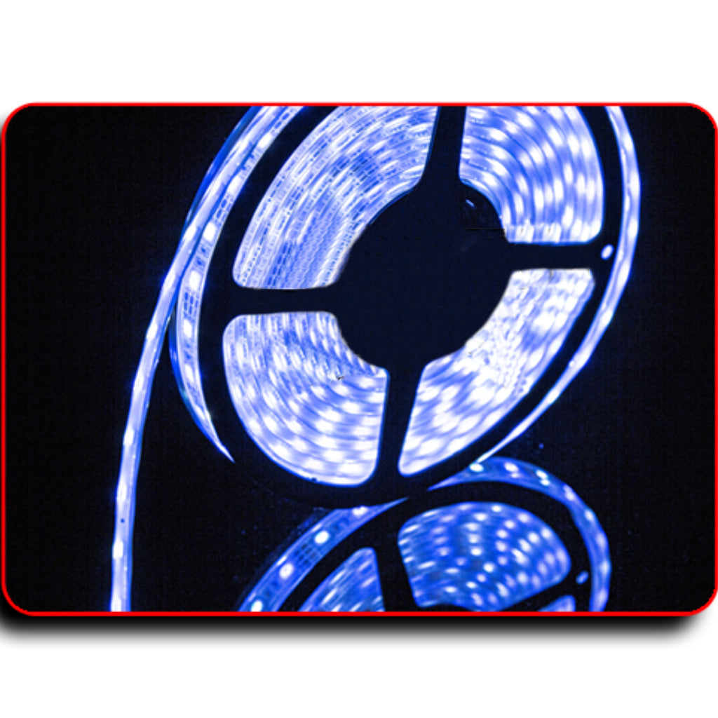 Waterproof Flexible Light Strip - IP68 - 12V Dual Color Blue + Cool White