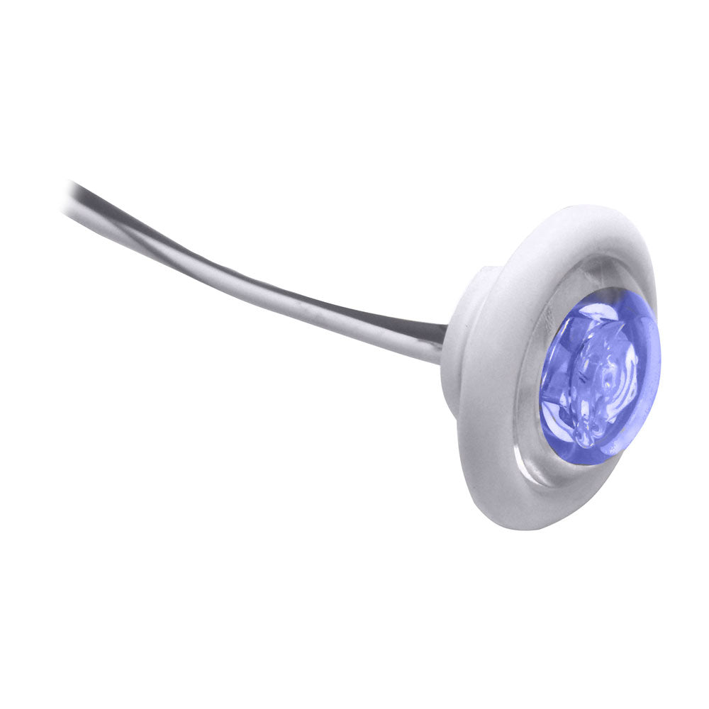 Innovative Lighting LED Bulkhead-Livewell Light &quot;The Shortie&quot; Blue LED w- White Grommet-Lighting-1-Tiny Boat Nation